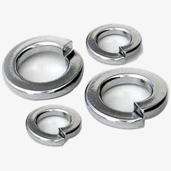 SS Spring Washers in Gujarat